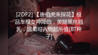 [2DF2] 【唐伯虎来探花】极品车模女神降临，美腿黑丝翘乳，温柔可人物超所值[BT种子]