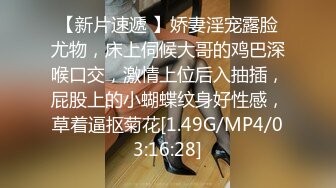 烏托邦傳媒 WTB094 女仆的秘密課程 斑斑