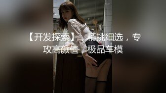 【开发探索】，精挑细选，专攻高颜值，极品车模