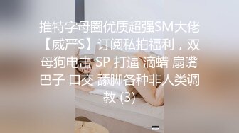 推特字母圈优质超强SM大佬【威严S】订阅私拍福利，双母狗电击 SP 打逼 滴蜡 扇嘴巴子 口交 舔脚各种非人类调教 (3)