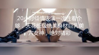 山东青岛潍坊烟台淄博