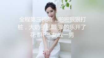 分享女友的小胸