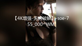 【自整理】在楼梯上给维修工人口交 【92V】 (57)