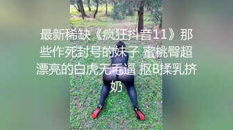 宅男爆乳女神美少女九尾狐狸M會員VIP版之情趣黑絲過溪襪 極品爆乳+黑絲美腿+超嫩美鮑+白漿 高清1080P完整版