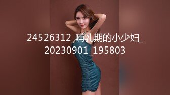 (麻豆傳媒)(md-0303)(20230917)孤注一擲-夏晴子、姚彤彤