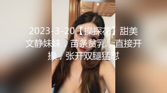 2023-3-20【操探花】甜美文静妹妹，苗条贫乳，直接开操，张开双腿猛怼