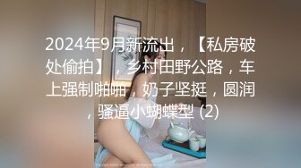 又一对KTV操逼的男女