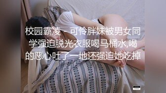 《最新收费超强NTR首发》海.jiao 7年换妻大神【心与灵魂】淫妻绿帽经历分享！教程心得 实战视图411P 9V