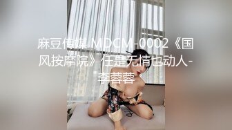 麻豆传媒三十天性爱企划之麻豆神秘女郎初现 主观视角的情欲诱惑