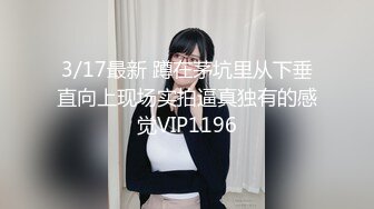 3/17最新 蹲在茅坑里从下垂直向上现场实拍逼真独有的感觉VIP1196