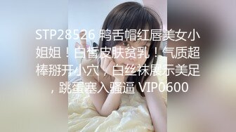 【兔子先生高清4K】旋律马克斯和兔子先生在东京第 1 部分