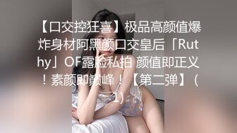 我是女骑士