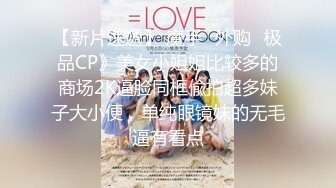 【自制字幕系列】第12弹 探花剪辑版6部，长达个把小时的探花剪辑成两分钟左右的剧情