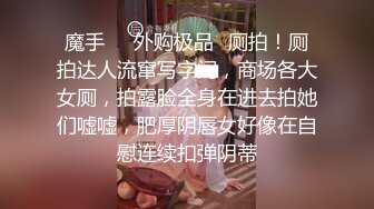 网约极品女 顶级颜值白皙美乳  圆润美臀对着镜头  整根插入上下套弄