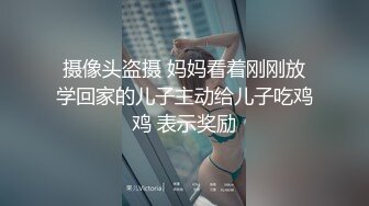 经典流出露出界知名露出网红FSS户外全裸露出自拍 情趣黑丝透视装午夜逛街 乡间全裸私拍真大胆 (1)