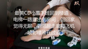 国产麻豆AV MD MD0203 迷奸女租客 苏娅 玥可岚