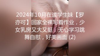 ⚫️⚫️91入会粉丝群专享，极品淫荡骚妻【爱丽丝】福利私拍第三弹，各种情趣制服，进出特写