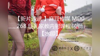 【新片速遞 】麻豆传媒 MD0268 巨乳家教内射课程 凌薇【水印】