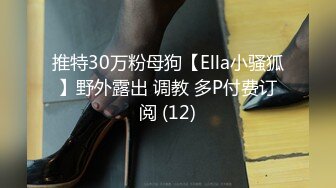 推特30万粉母狗【Ella小骚狐】野外露出 调教 多P付费订阅 (12)