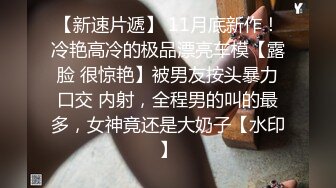 CCDV-69早上扔垃圾的附近的游戏迷无胸罩太太：花守未来