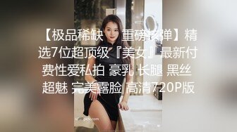 太完美了 满足幻想 AI绘画 付费打包 S级画师PixivID9171005 普通+FANBOX