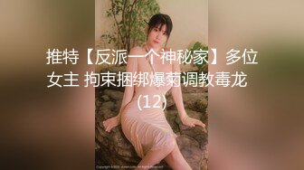 推特【反派一个神秘家】多位女主 拘束捆绑爆菊调教毒龙  (12)