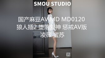 国产麻豆AV MD MD0120 狼人插2 堕落爱神 惩戒AV版 凌薇 蜜苏