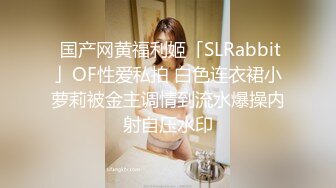 极品美臀大长腿甜美小姐姐  一手拿镜头按摩器磨穴  开档肉丝透明假屌抽插  翘起美臀对着镜头  看着非常诱惑