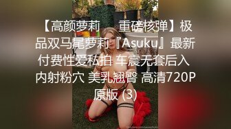 【高颜萝莉❤️重磅核弹】极品双马尾萝莉『Asuku』最新付费性爱私拍 车震无套后入 内射粉穴 美乳翘臀 高清720P原版 (3)