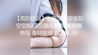 调教少妇口交做爱完美露脸-深喉-母狗-调教-路人