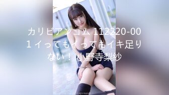 カリビアンコム 112220-001 イってもイってもイキ足りない！ 小野寺梨紗