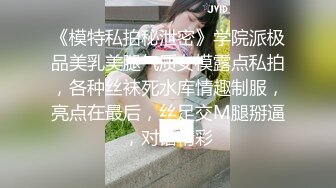 《模特私拍秘泄密》学院派极品美乳美腿气质女模露点私拍，各种丝袜死水库情趣制服，亮点在最后，丝足交M腿掰逼，对话精彩